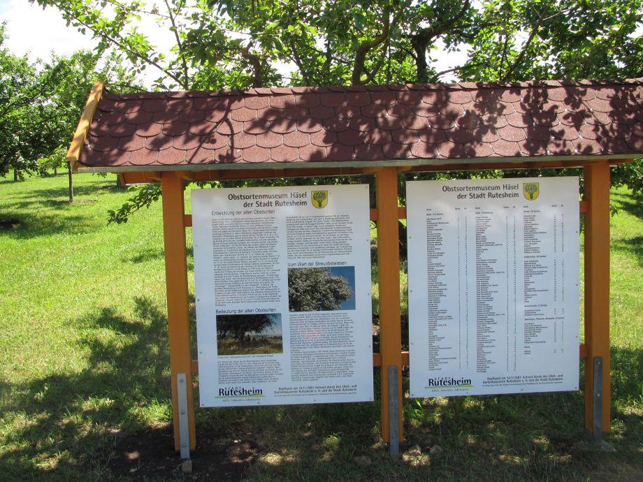 Obstsortenmuseum Häsel