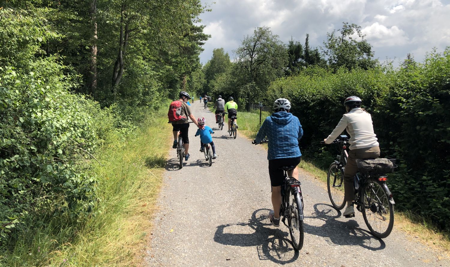 Radlergruppe auf einem geteerten Radweg entlang des Waldes.